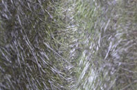 Bridge Green fibreglass roof work